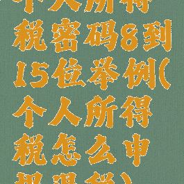 个人所得税密码8到15位举例(个人所得税怎么申报退税)