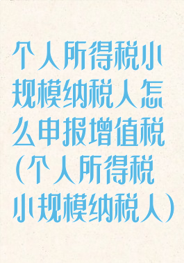 个人所得税小规模纳税人怎么申报增值税(个人所得税小规模纳税人)