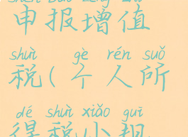 个人所得税小规模纳税人怎么申报增值税(个人所得税小规模纳税人怎么申报增值税)