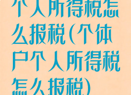 个人所得税怎么报税(个体户个人所得税怎么报税)