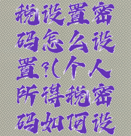 个人所得税设置密码怎么设置?(个人所得税密码如何设置)