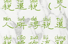 个人所得税退税(个人所得税退税操作流程)