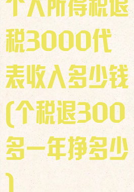 个人所得税退税3000代表收入多少钱(个税退300多一年挣多少)