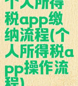 个人所得税app缴纳流程(个人所得税app操作流程)