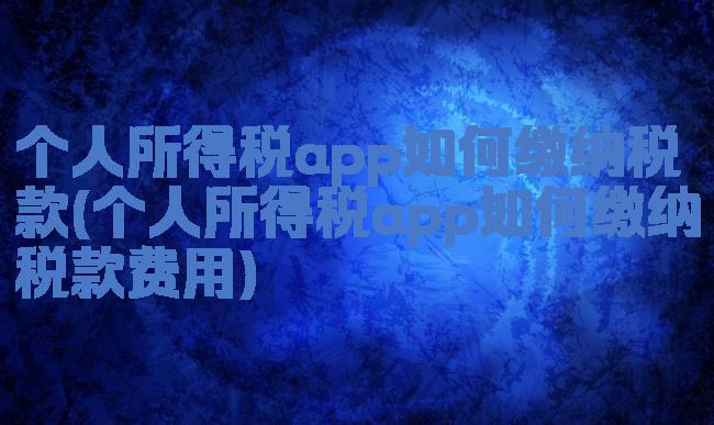 个人所得税app如何缴纳税款(个人所得税app如何缴纳税款费用)