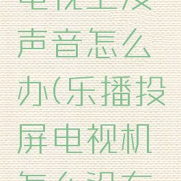 乐播投屏电视上没声音怎么办(乐播投屏电视机怎么没有声音)