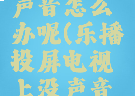 乐播投屏电视没有声音怎么办呢(乐播投屏电视上没声音了怎么回事)