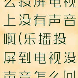 乐播投屏怎么投屏电视上没有声音啊(乐播投屏到电视没声音怎么回事)