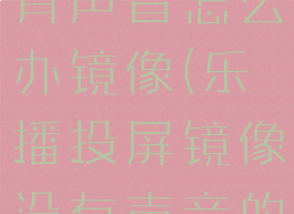 乐播投屏没有声音怎么办镜像(乐播投屏镜像没有声音的解决办法)