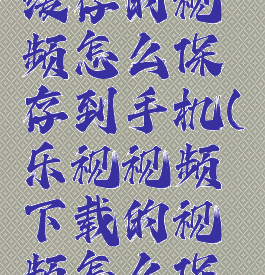 乐视视频缓存的视频怎么保存到手机(乐视视频下载的视频怎么保存到相册)