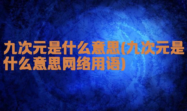 九次元是什么意思(九次元是什么意思网络用语)