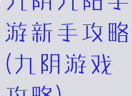 九阴九阳手游新手攻略(九阴游戏攻略)