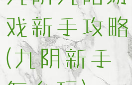 九阴九阳游戏新手攻略(九阴新手怎么玩)