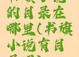 书旗小说的目录在哪里(书旗小说有目录吗)