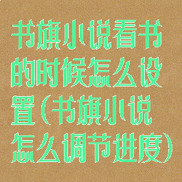 书旗小说看书的时候怎么设置(书旗小说怎么调节进度)