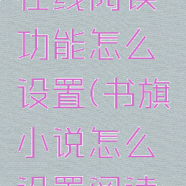 书旗小说在线阅读功能怎么设置(书旗小说怎么设置阅读模式)