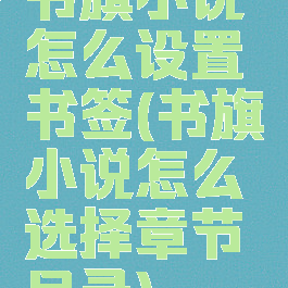 书旗小说怎么设置书签(书旗小说怎么选择章节目录)