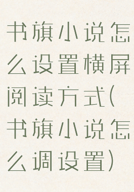 书旗小说怎么设置横屏阅读方式(书旗小说怎么调设置)