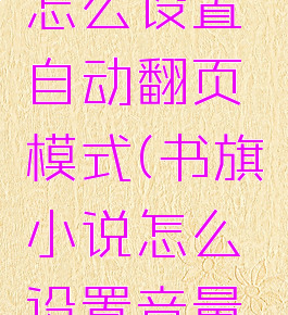 书旗小说怎么设置自动翻页模式(书旗小说怎么设置音量键翻页)