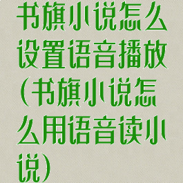 书旗小说怎么设置语音播放(书旗小说怎么用语音读小说)