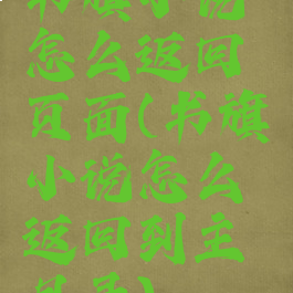 书旗小说怎么返回页面(书旗小说怎么返回到主目录)