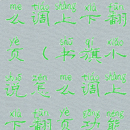 书旗小说怎么调上下翻页(书旗小说怎么调上下翻页功能)