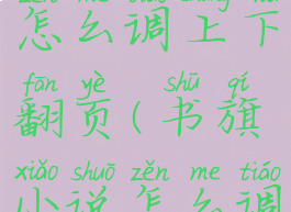 书旗小说怎么调上下翻页(书旗小说怎么调整章节)