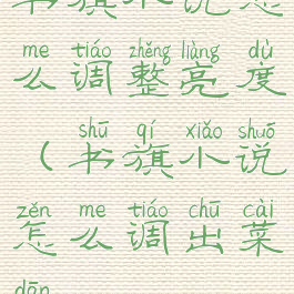 书旗小说怎么调整亮度(书旗小说怎么调出菜单)