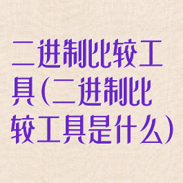 二进制比较工具(二进制比较工具是什么)