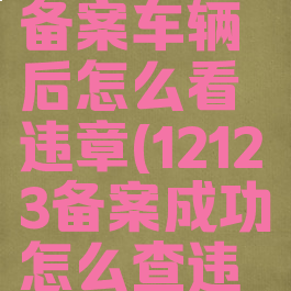 交管12123备案车辆后怎么看违章(12123备案成功怎么查违章)
