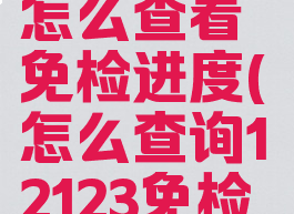 交管12123怎么查看免检进度(怎么查询12123免检进度)