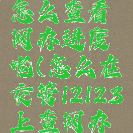 交管12123怎么查看网办进度呢(怎么在交管12123上查网办进度)