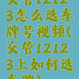 交管12123怎么选车牌号视频(交管12123上如何选车牌)