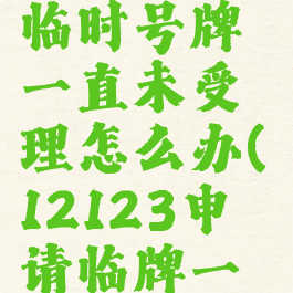 交管12123申请新车临时号牌一直未受理怎么办(12123申请临牌一直没有受理)