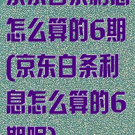 京东白条利息怎么算的6期(京东白条利息怎么算的6期呢)