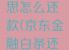 京东白条是什么意思怎么还款(京东金融白条还款是怎么回事)