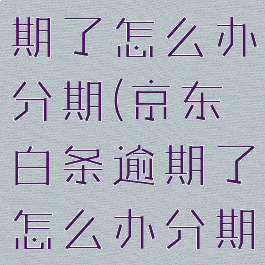 京东白条逾期了怎么办分期(京东白条逾期了怎么办分期还不了)