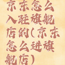 京东怎么入驻旗舰店的(京东怎么进旗舰店)