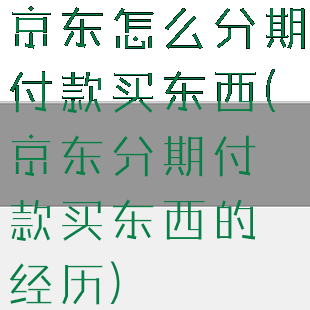 京东怎么分期付款买东西(京东分期付款买东西的经历)