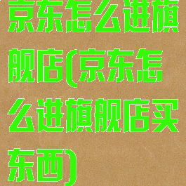 京东怎么进旗舰店(京东怎么进旗舰店买东西)