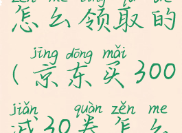 京东30元券怎么领取的(京东买300减30券怎么领)