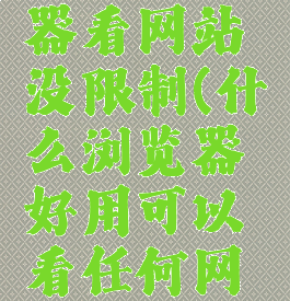 什么浏览器看网站没限制(什么浏览器好用可以看任何网站)