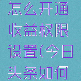 今日头条怎么开通收益权限设置(今日头条如何开通收益)