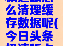 今日头条极速版怎么清理缓存数据呢(今日头条极速版占用空间大)
