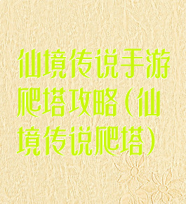 仙境传说手游爬塔攻略(仙境传说爬塔)