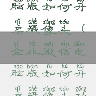 企业微信电脑版如何开启摄像头(企业微信电脑版如何开启摄像头功能)