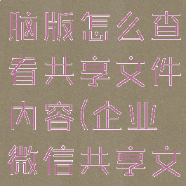 企业微信电脑版怎么查看共享文件内容(企业微信共享文档在哪看)
