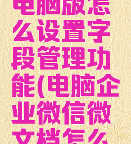 企业微信电脑版怎么设置字段管理功能(电脑企业微信微文档怎么编辑)