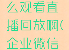 企业微信电脑版怎么观看直播回放啊(企业微信怎么用电脑看直播)