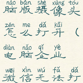 企业微信电脑版摄像头怎么打开(电脑企业微信无法打开摄像头)